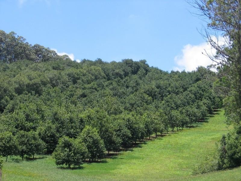 610 Houghlahans Creek Road, Alstonville NSW 2477