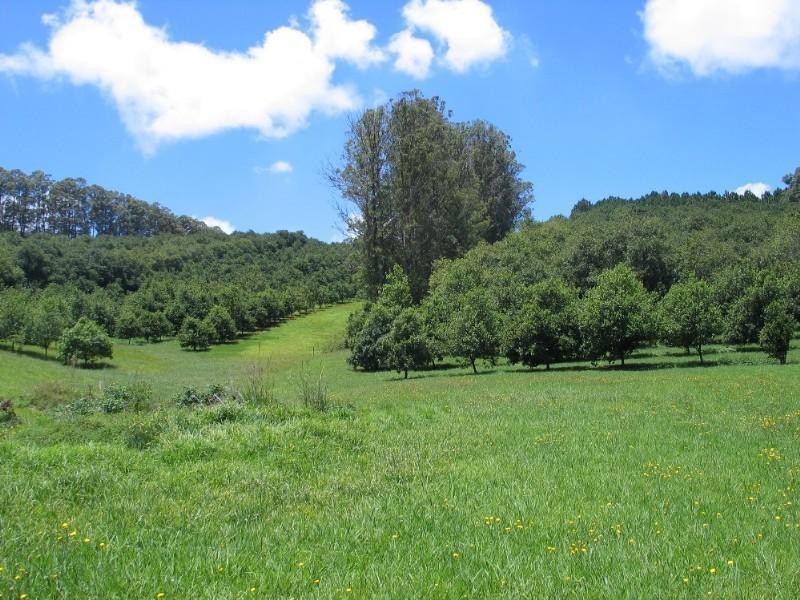 610 Houghlahans Creek Road, Alstonville NSW 2477