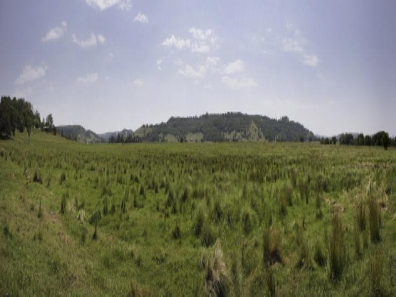 235 Nimbin Road, Lismore NSW 2480