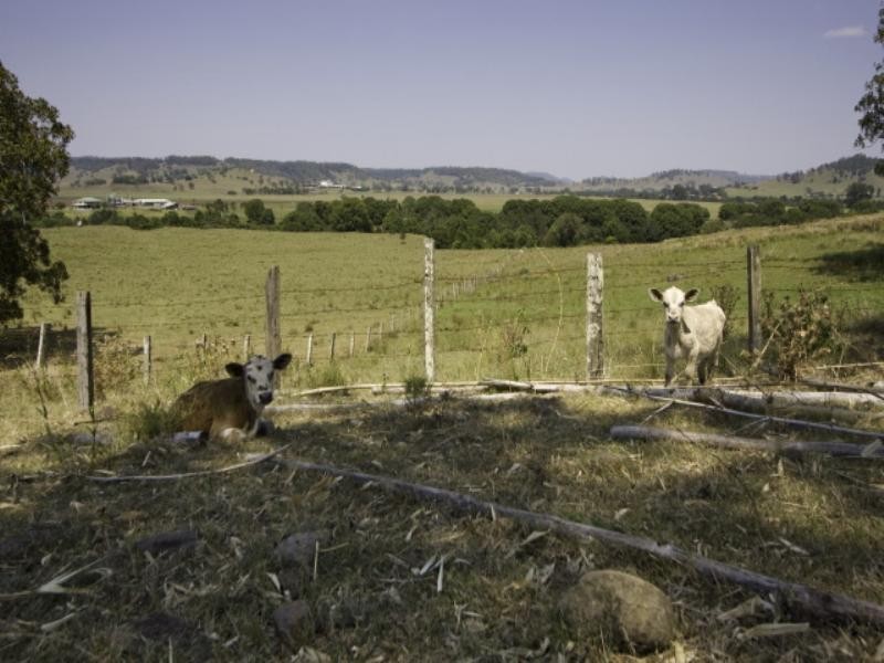 235 Nimbin Road, Lismore NSW 2480