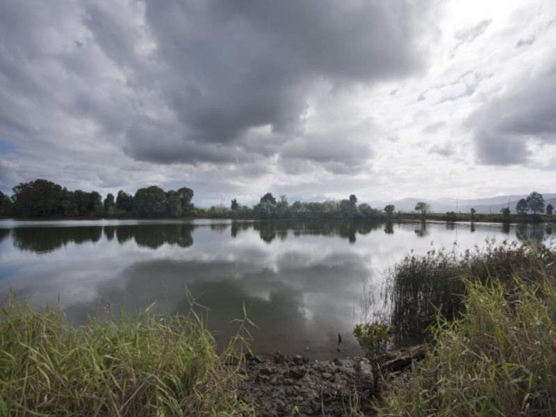 45 McLeod Street, Condong NSW 2484