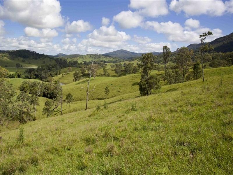 3042 Bentley Road, Far North Coast, Bentley NSW 2480