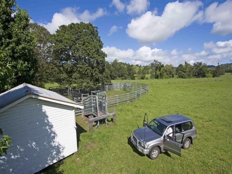3042 Bentley Road, Far North Coast, Bentley NSW 2480