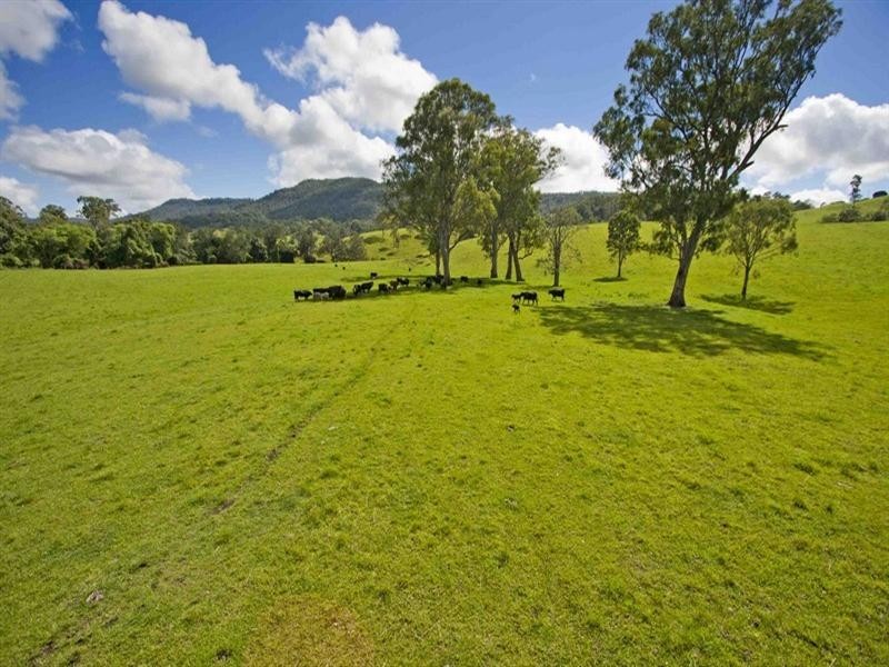 3042 Bentley Road, Far North Coast, Bentley NSW 2480