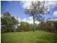 3042 Bentley Road, Far North Coast, Bentley NSW 2480