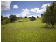 3042 Bentley Road, Far North Coast, Bentley NSW 2480