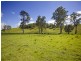 3042 Bentley Road, Far North Coast, Bentley NSW 2480