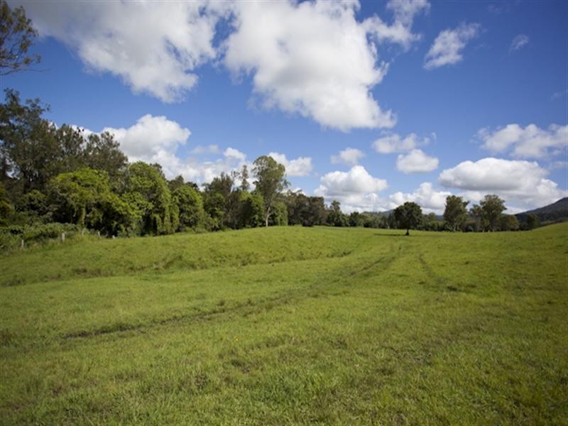 3042 Bentley Road, Far North Coast, Bentley NSW 2480