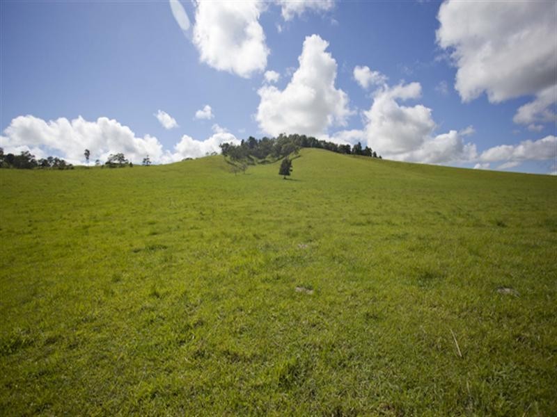 3042 Bentley Road, Far North Coast, Bentley NSW 2480