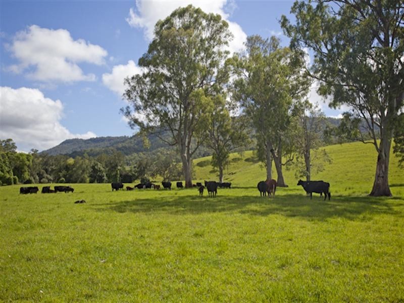 3042 Bentley Road, Lismore NSW 2480