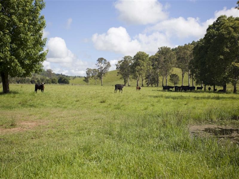 3042 Bentley Road, Lismore NSW 2480
