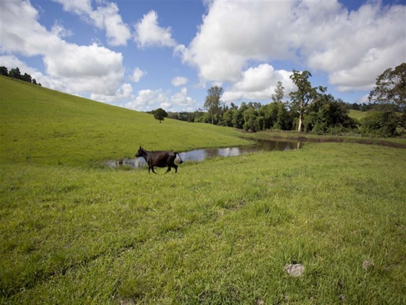3042 Bentley Road, Lismore NSW 2480