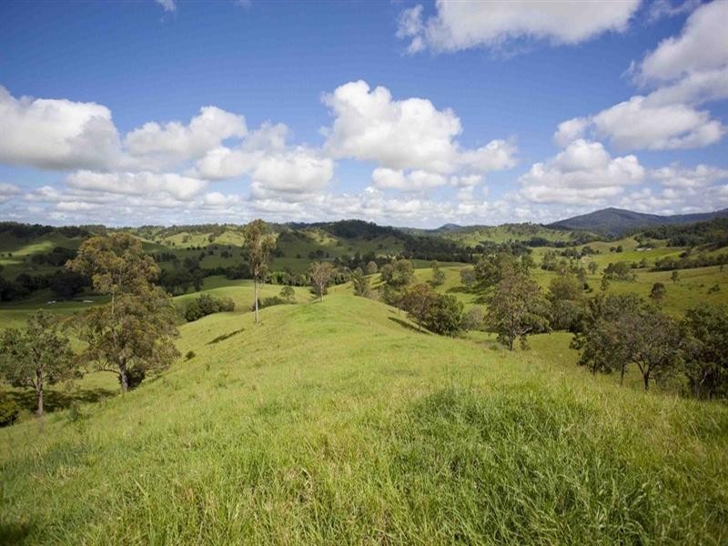 720 Back Creek Road, Bentley NSW 2480