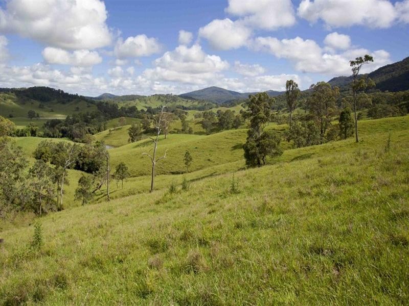 720 Back Creek Road, Bentley NSW 2480