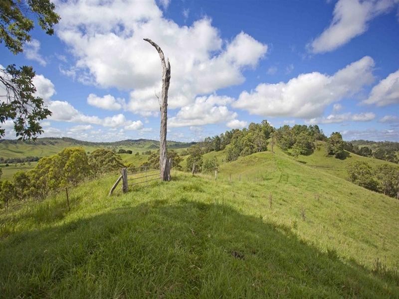 720 Back Creek Road, Bentley NSW 2480