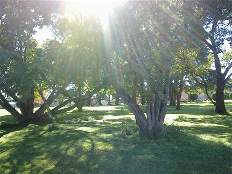 38 Cooke Avenue, Alstonville NSW 2477