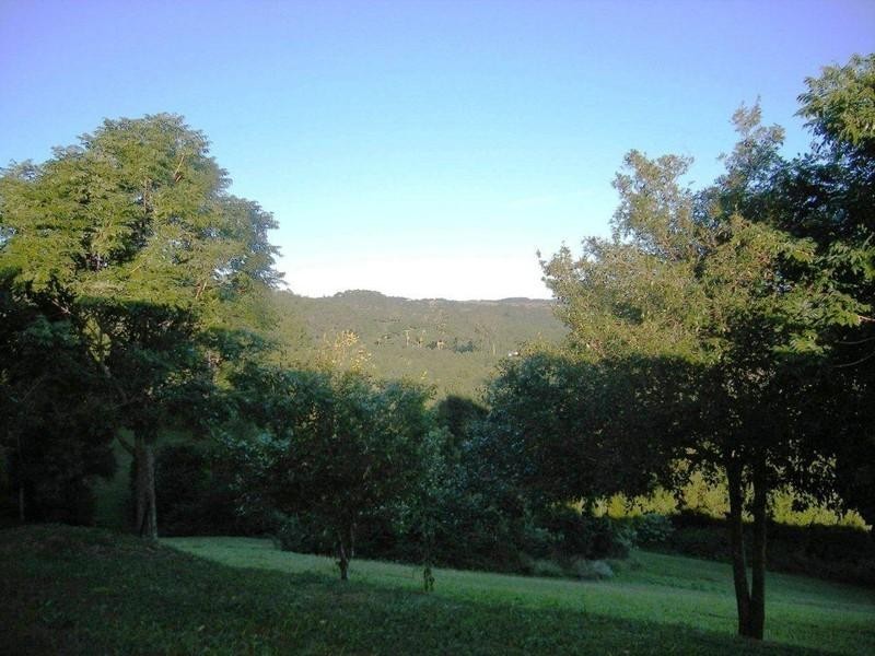 599 Pearces Creek Road, Alstonvale NSW 2477