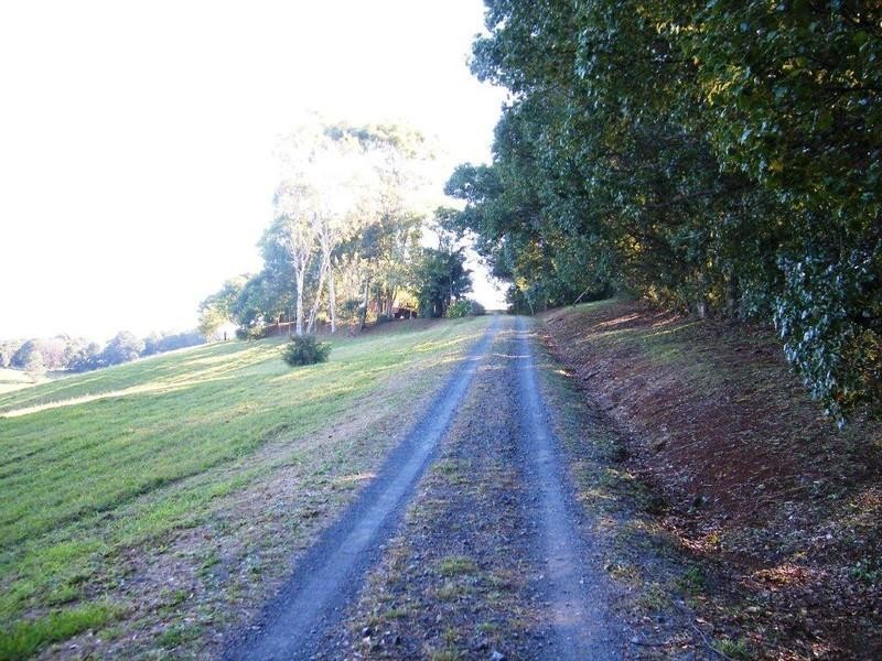 599 Pearces Creek Road, Alstonvale NSW 2477