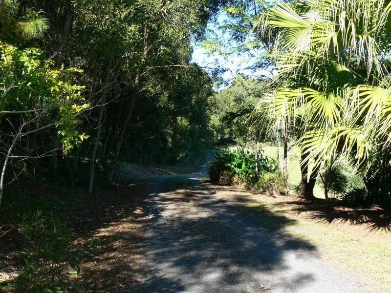 599 Pearces Creek Road, Alstonvale NSW 2477