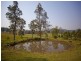 55 Stones Road, Naughtons Gap NSW 2470