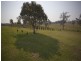 55 Stones Road, Naughtons Gap NSW 2470