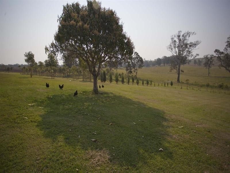 55 Stones Road, Naughtons Gap NSW 2470