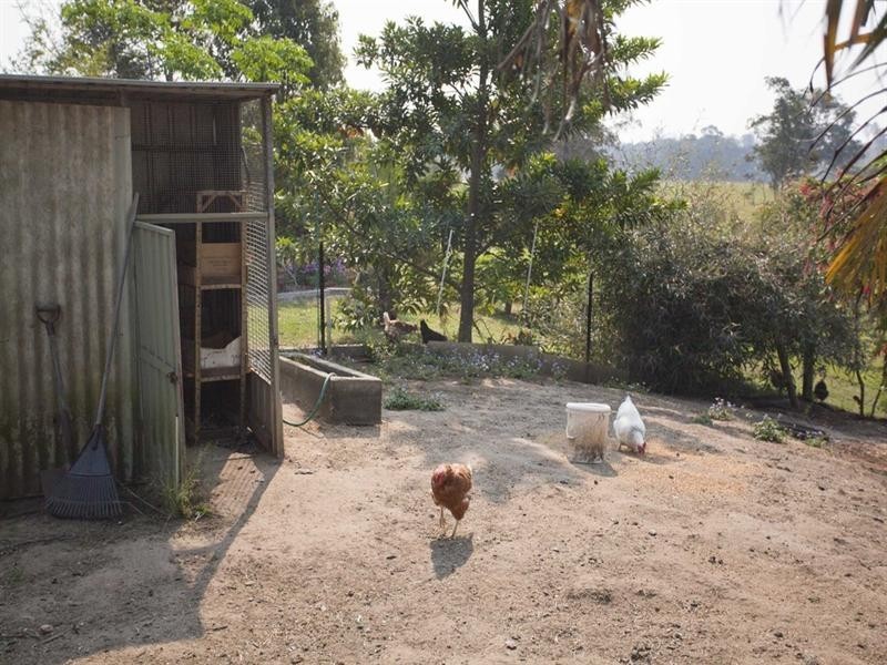 55 Stones Road, Naughtons Gap NSW 2470