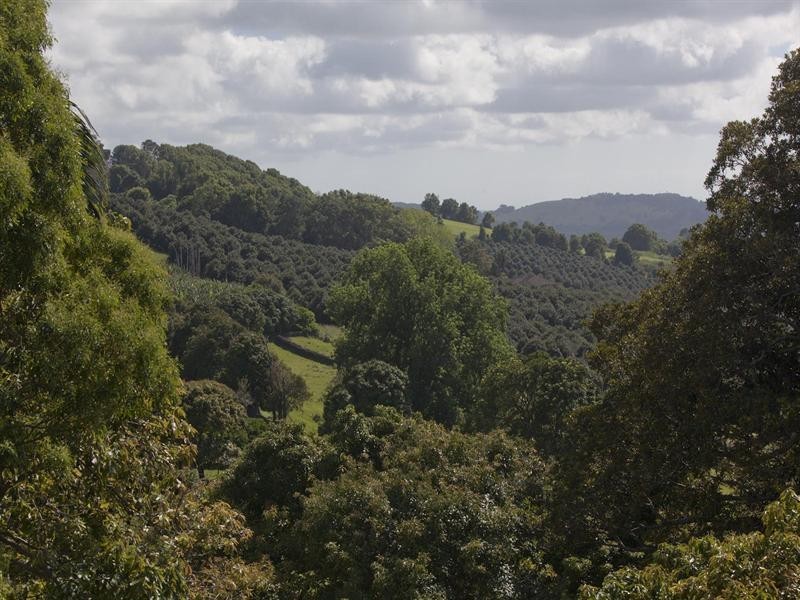 370 Gap Road, Alstonville NSW 2477