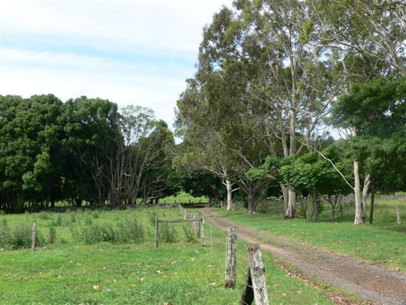 815 Houghlahans Creek Road, Pearces Creek NSW 2477