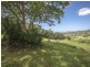 213 Duck Creek Mountain Road, Alstonville NSW 2477