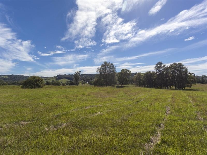 873 Wardell Road, Meerschaum Vale NSW 2477