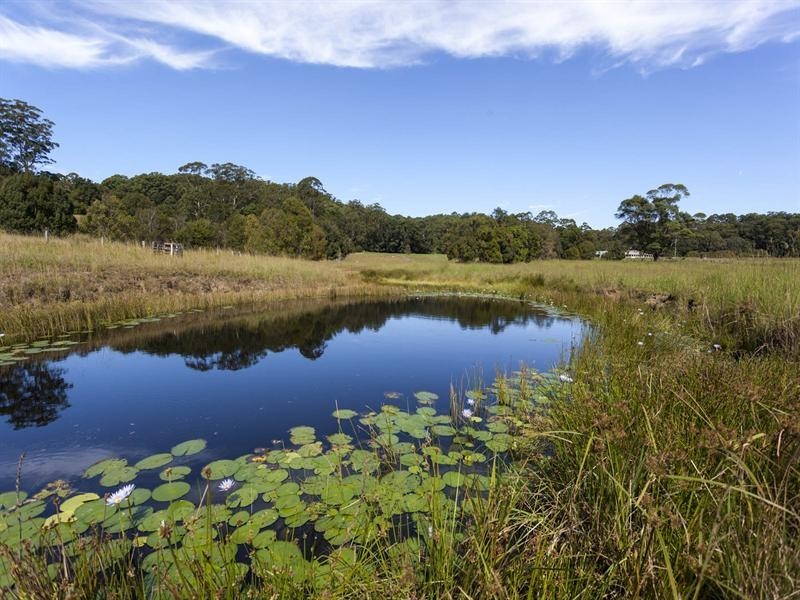 873 Wardell Road, Meerschaum Vale NSW 2477