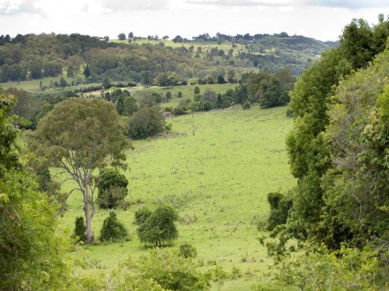 179 Henson Road, Wyrallah NSW 2480