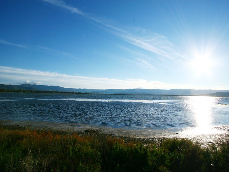 391 Reddall Parade, Mount Warrigal NSW 2528