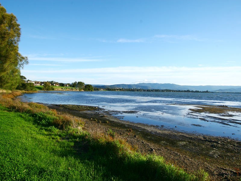 391 Reddall Parade, Mount Warrigal NSW 2528