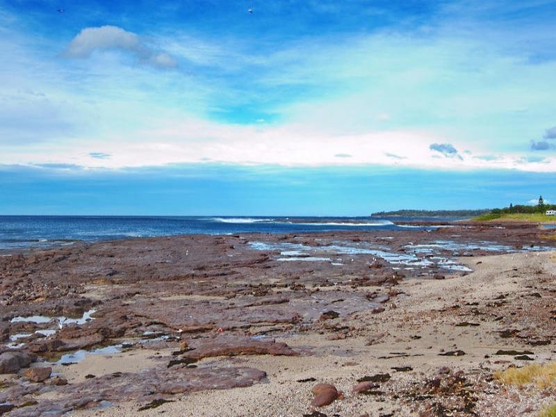 1/11 William Street, Shellharbour NSW 2529