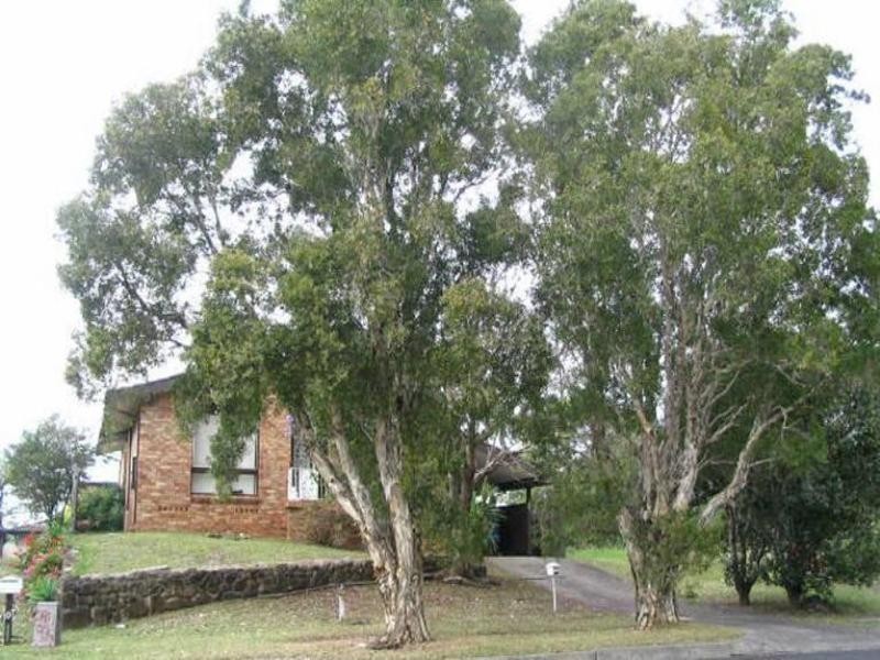 109 Thirroul Road, Kanahooka NSW 2530