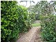 68 Dudley Street, Annerley QLD 4103