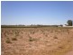 Lot 510 Strangman Road, Waikerie SA 5330
