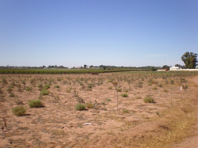 Lot 510 Strangman Road, Waikerie SA 5330