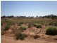 Lot 510 Strangman Road, Waikerie SA 5330