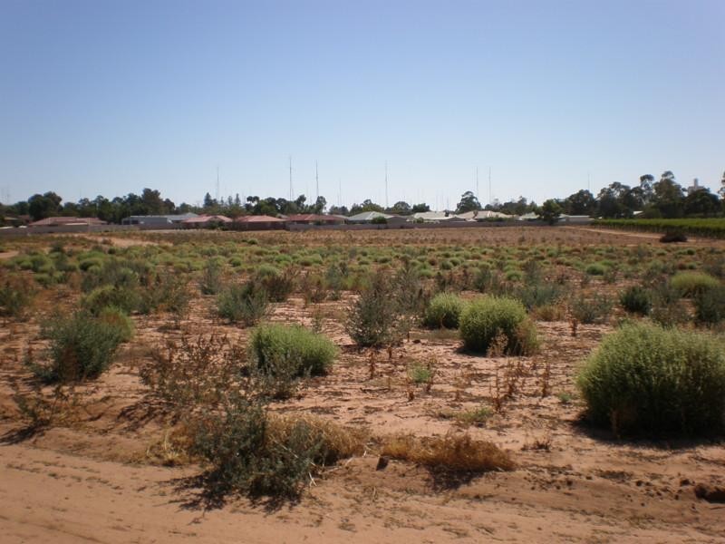 Lot 510 Strangman Road, Waikerie SA 5330