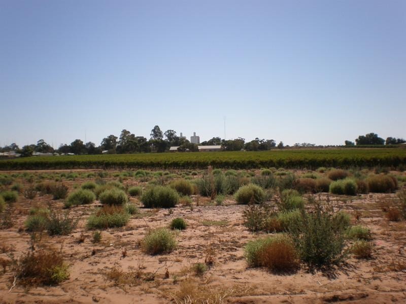 Lot 510 Strangman Road, Waikerie SA 5330