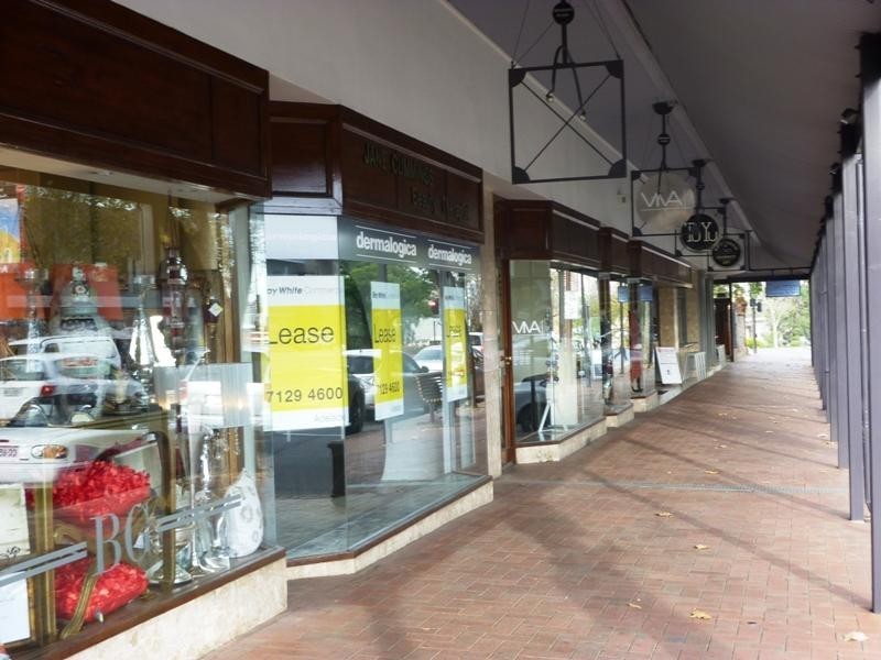 18 OConnell Street, North Adelaide SA 5006