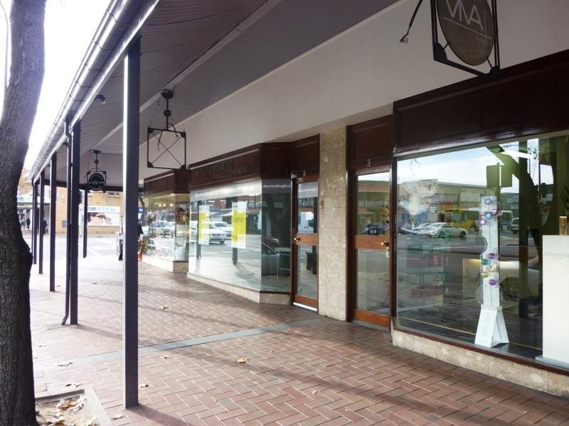 18 OConnell Street, North Adelaide SA 5006