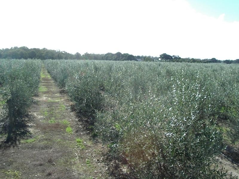 Lot 2 Legoe Road, Buckland Park SA 5120