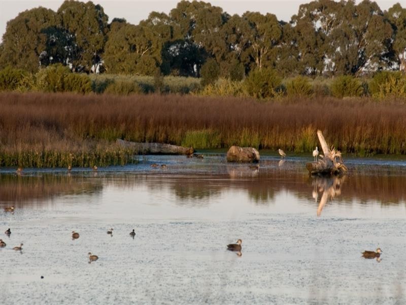 Lot 2 Legoe Road, Buckland Park SA 5120