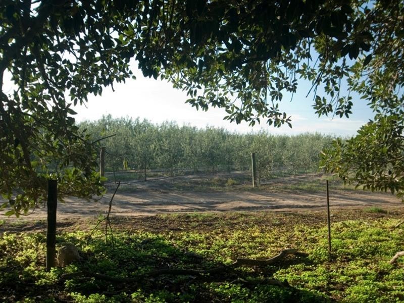 Lot 2 Legoe Road, Buckland Park SA 5120