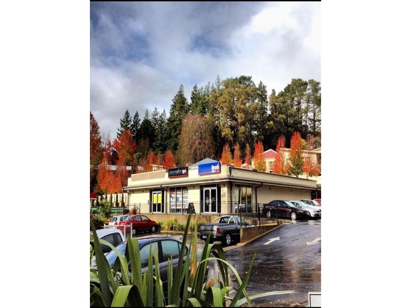 62 Mount Barker Road, Stirling SA 5152