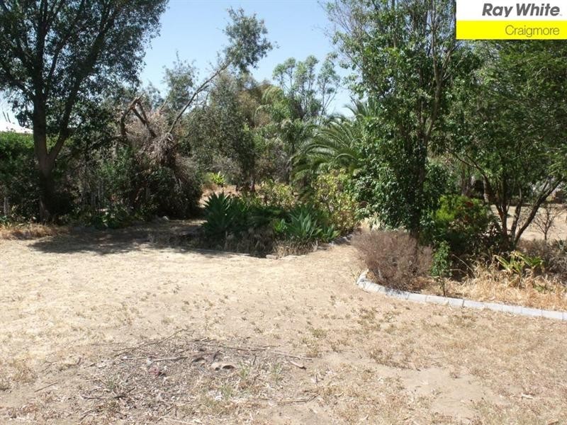 Lot 81 Harris Road, Angle Vale SA 5117